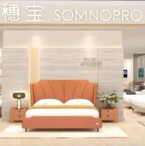 穗宝床垫荣耀进驻！带你探索339.23亿品牌价值背后的秘密